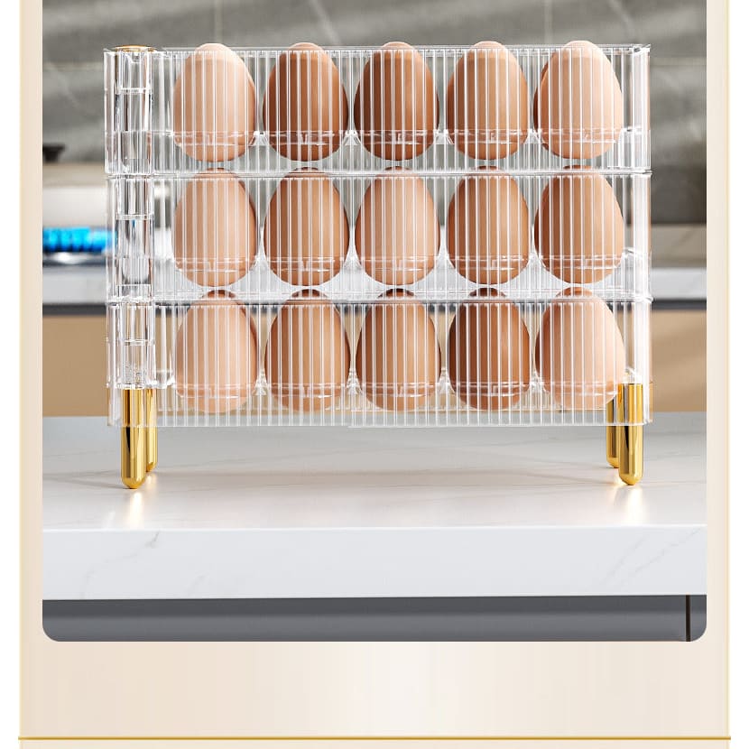 Luxurious Refrigerator Transparent Egg Box Container