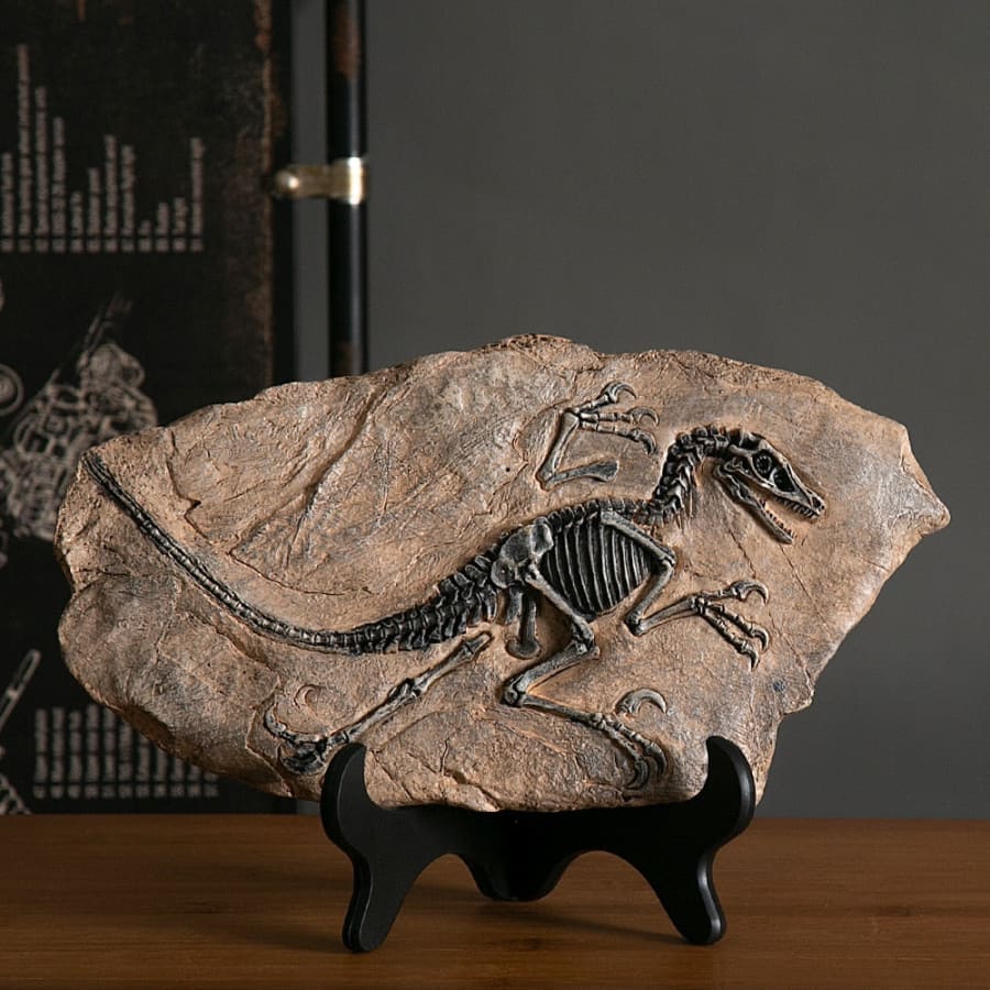 Dinosaur Fossil Display Ornament